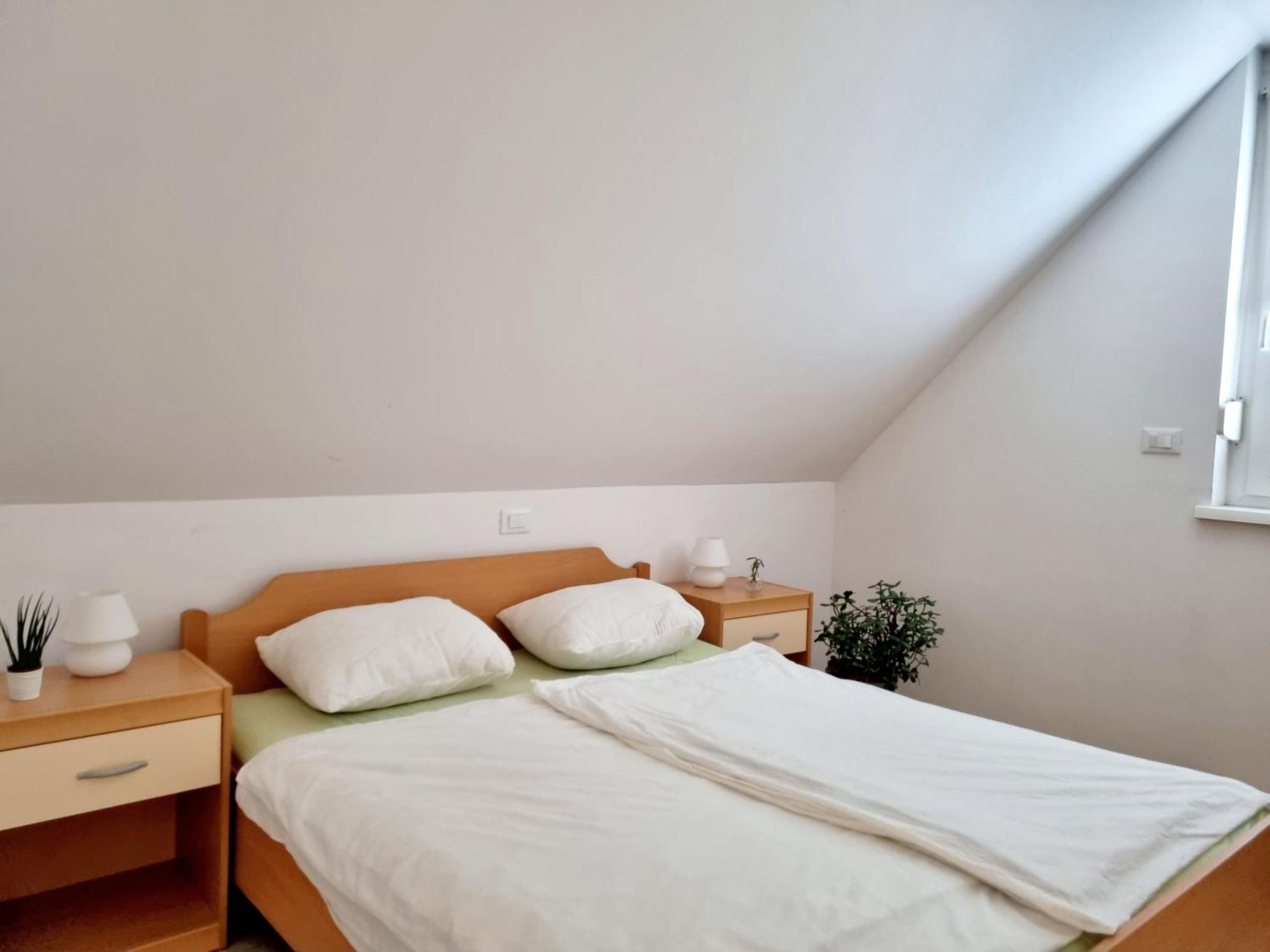 Apartmaji Pri Ticelnu 博维茨 外观 照片
